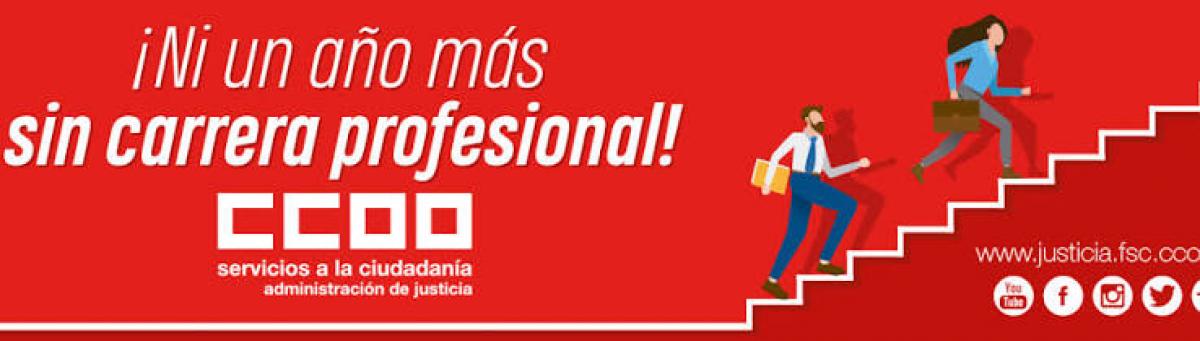 Carrera profesional